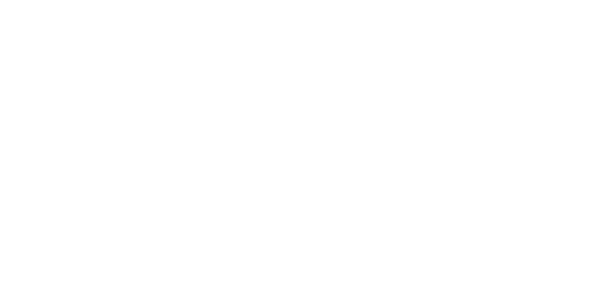 넷엔트 logo